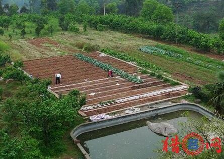 「最新家庭農(nóng)場名字大全，揭示背后的理念與發(fā)展趨勢」