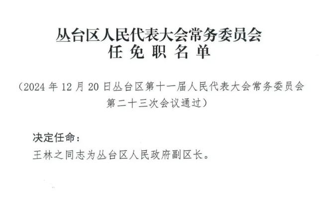 企業(yè)高管層最新任免動態(tài)，調(diào)整與展望