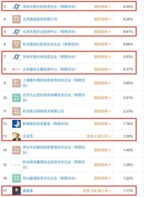 王亞偉最新持股明細揭秘，深度解讀其投資策略與動向