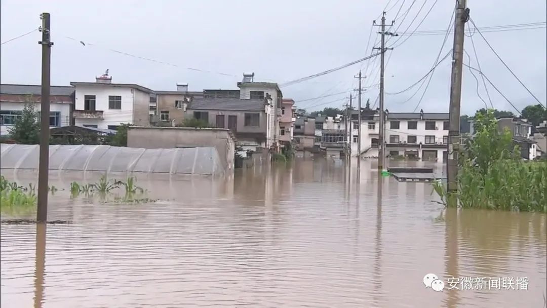 藝術(shù)交流 第28頁