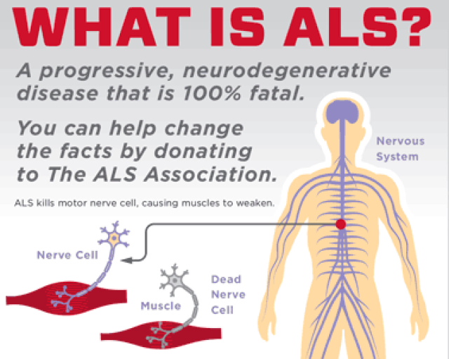 ALS最新研究，突破與挑戰(zhàn)的交匯點(diǎn)探索