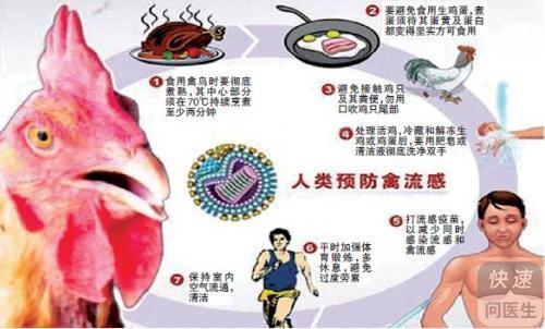 H7N9禽流感最新癥狀研究揭秘